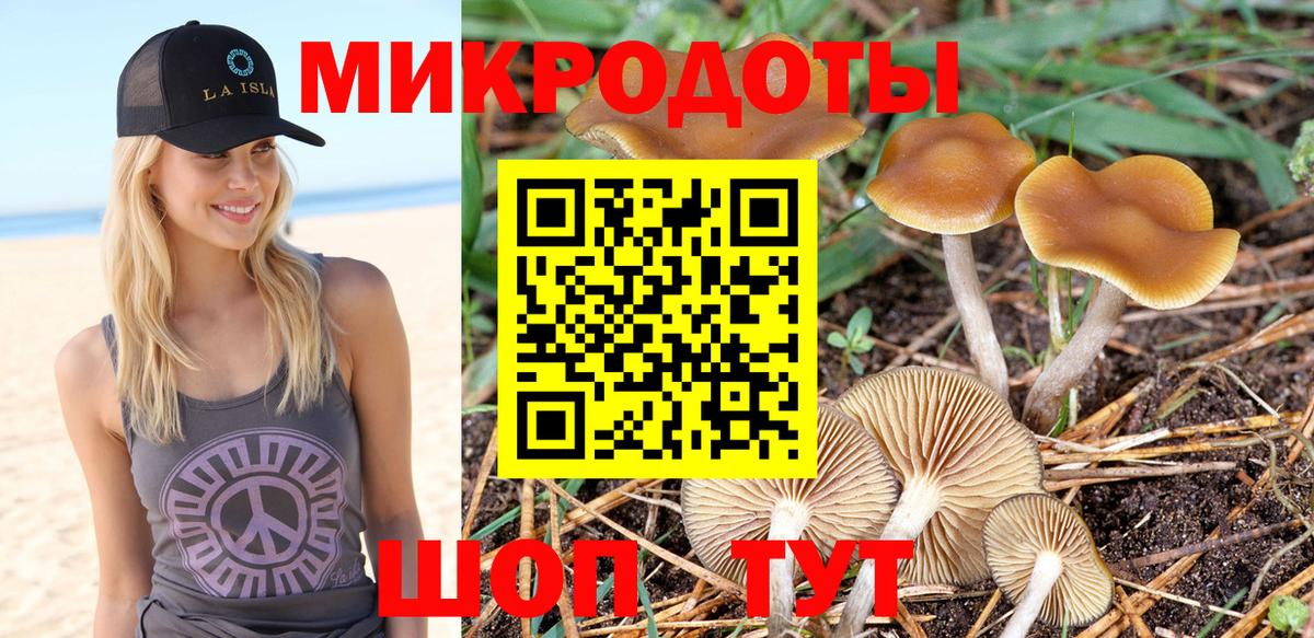 Псилоцибиновые грибы Psilocybine cubensis Сочи