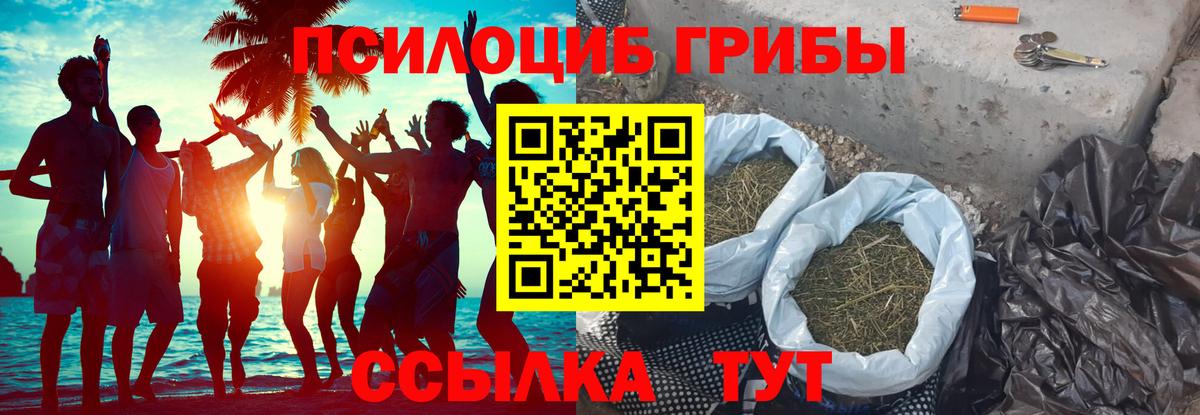 Псилоцибиновые грибы MAGIC MUSHROOMS  Вход с VPN  Сочи 